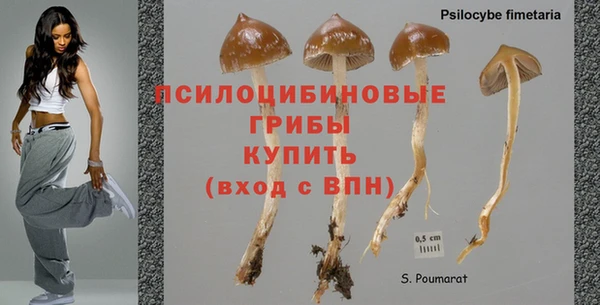 СК Белокуриха