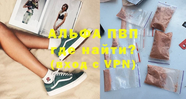 сатива Беломорск