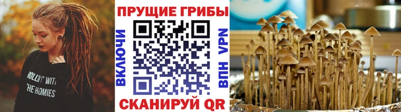 Галлюциногенные грибы Cubensis  наркошоп  Короча 